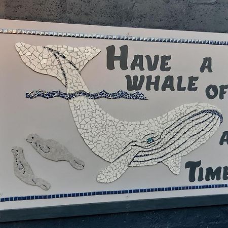 Whale Watch Accommodation De Kelders Εξωτερικό φωτογραφία